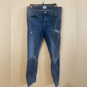 Hudson Krista Ankle Skinny Raw Hem